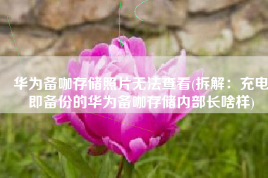 华为备咖存储照片无法查看(拆解：充电即备份的华为备咖存储内部长啥样)