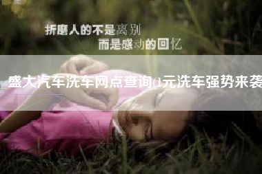 盛大汽车洗车网点查询(1元洗车强势来袭)