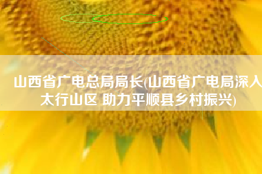 山西省广电总局局长(山西省广电局深入太行山区 助力平顺县乡村振兴)