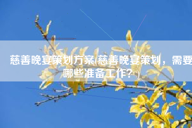 慈善晚宴策划方案(慈善晚宴策划，需要哪些准备工作？)