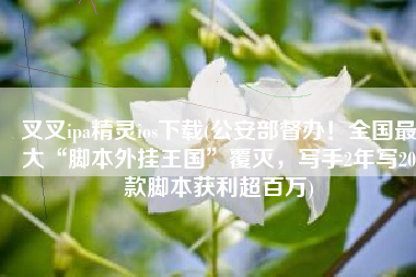 叉叉ipa精灵ios下载(公安部督办！全国最大“脚本外挂王国”覆灭，写手2年写20款脚本获利超百万)