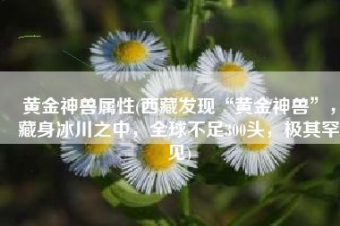 黄金神兽属性(西藏发现“黄金神兽”，藏身冰川之中，全球不足300头，极其罕见)