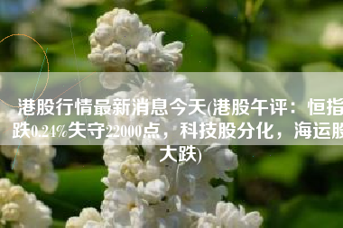 港股行情最新消息今天(港股午评：恒指跌0.24%失守22000点，科技股分化，海运股大跌)