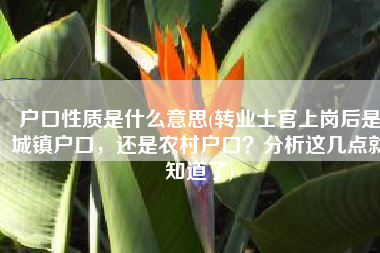 户口性质是什么意思(转业士官上岗后是城镇户口，还是农村户口？分析这几点就知道了)