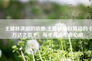 王健林演唱的歌曲(王健林亲自填词的《万达之歌》，每年万达年会必唱)