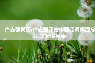 卢志强简历(卢志强卸任中国泛海集团总裁 宋宏谋接棒)