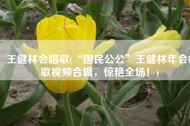 王健林会唱歌(“国民公公”王健林年会K歌视频合辑，惊艳全场！)