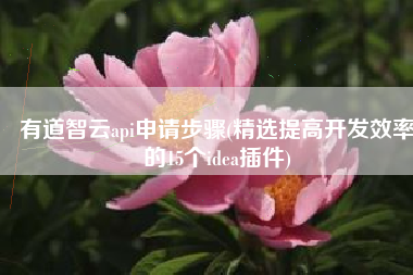有道智云api申请步骤(精选提高开发效率的15个idea插件)
