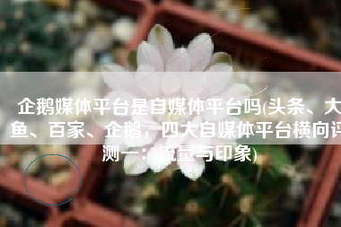 企鹅媒体平台是自媒体平台吗(头条、大鱼、百家、企鹅，四大自媒体平台横向评测一：流量与印象)