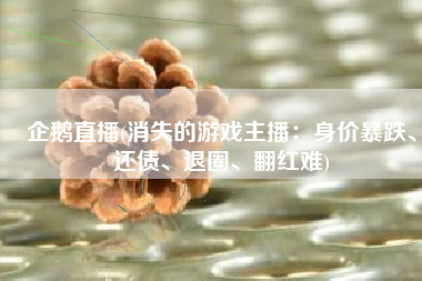 企鹅直播(消失的游戏主播：身价暴跌、还债、退圈、翻红难)
