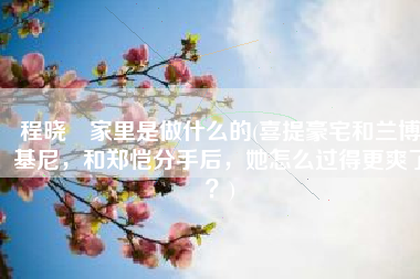 程晓玥家里是做什么的(喜提豪宅和兰博基尼，和郑恺分手后，她怎么过得更爽了？)