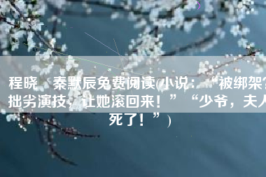 程晓玥秦默辰免费阅读(小说：“被绑架？拙劣演技，让她滚回来！”“少爷，夫人死了！”)