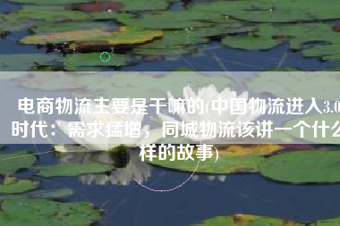 电商物流主要是干嘛的(中国物流进入3.0时代：需求猛增，同城物流该讲一个什么样的故事)