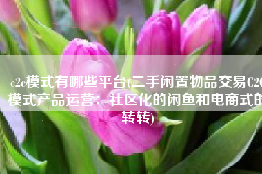 c2c模式有哪些平台(二手闲置物品交易C2C模式产品运营：社区化的闲鱼和电商式的转转)