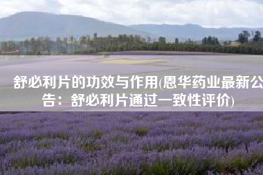 舒必利片的功效与作用(恩华药业最新公告：舒必利片通过一致性评价)