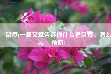 鼠疫(一篇文章告诉你什么是鼠疫、怎么预防)