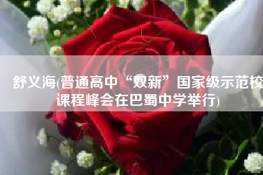 舒义海(普通高中“双新”国家级示范校课程峰会在巴蜀中学举行)