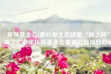 环保基金会(秦岭原生态蜂蜜“林之粹”来了！中华环保基金会重要公益项目启动)