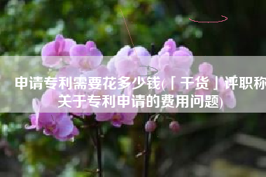 申请专利需要花多少钱(「干货」评职称关于专利申请的费用问题)