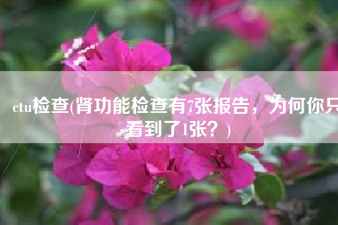 ctu检查(肾功能检查有7张报告，为何你只看到了1张？)