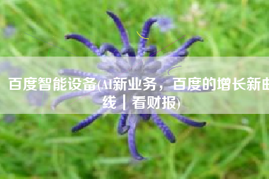 百度智能设备(AI新业务，百度的增长新曲线｜看财报)