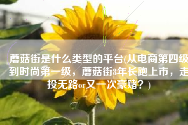 蘑菇街是什么类型的平台(从电商第四级到时尚第一级，蘑菇街8年长跑上市，走投无路or又一次豪赌？)