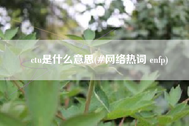 ctu是什么意思(#网络热词 enfp)