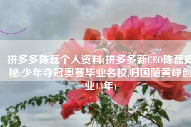 拼多多陈磊个人资料(拼多多新CEO陈磊揭秘:少年夺冠奥赛毕业名校,归国随黄峥创业13年)