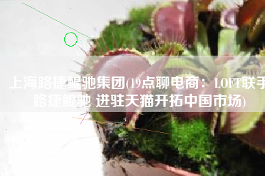 上海路捷鲲驰集团(19点聊电商：LOFT联手路捷鲲驰 进驻天猫开拓中国市场)