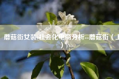 蘑菇街女装(社会化电商分析--蘑菇街（上）)