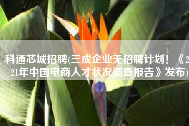 科通芯城招聘(三成企业无招聘计划！《2021年中国电商人才状况调查报告》发布)