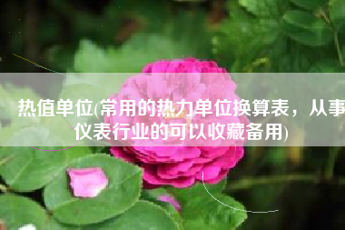 热值单位(常用的热力单位换算表，从事仪表行业的可以收藏备用)