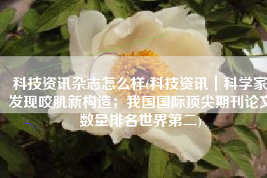 科技资讯杂志怎么样(科技资讯｜科学家发现咬肌新构造；我国国际顶尖期刊论文数量排名世界第二)