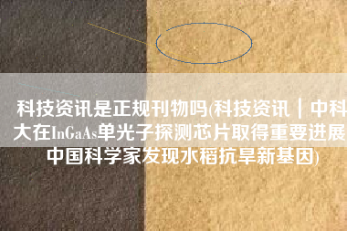 科技资讯是正规刊物吗(科技资讯｜中科大在InGaAs单光子探测芯片取得重要进展；中国科学家发现水稻抗旱新基因)
