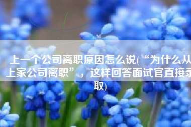上一个公司离职原因怎么说(“为什么从上家公司离职”，这样回答面试官直接录取)