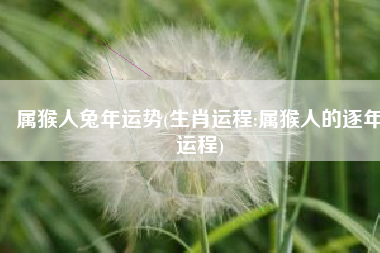 属猴人兔年运势(生肖运程:属猴人的逐年运程)