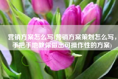 营销方案怎么写(营销方案策划怎么写，手把手地教你做出可操作性的方案)