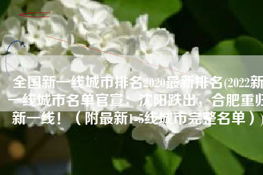 全国新一线城市排名2020最新排名(2022新一线城市名单官宣：沈阳跌出，合肥重归新一线！（附最新1-5线城市完整名单）)