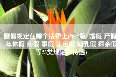 婚假规定在哪个法律上(2022版: 婚假 产假 年休假 病假 事假 法定假 哺乳假 探亲假等25类规定和待遇)