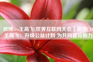 微博ceo王高飞(世界互联网大会｜微博CEO王高飞：升级公益计划 为共同富裕助力)