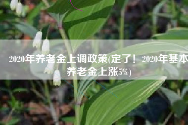 2020年养老金上调政策(定了！2020年基本养老金上涨5%)