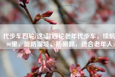 代步车四轮(这3款四轮老年代步车，续航200里，能防溜坡、防侧翻，适合老年人)