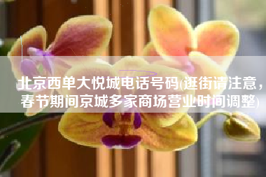 北京西单大悦城电话号码(逛街请注意，春节期间京城多家商场营业时间调整)