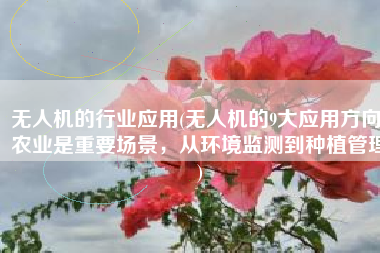 无人机的行业应用(无人机的9大应用方向，农业是重要场景，从环境监测到种植管理)