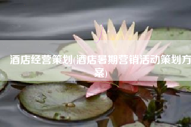 酒店经营策划(酒店暑期营销活动策划方案)