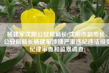 杨建军沈阳公安局局长(沈阳市副市长、公安局局长杨建军涉嫌严重违纪违法接受纪律审查和监察调查)
