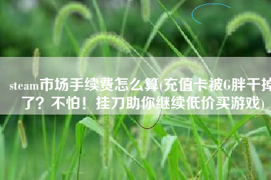 steam市场手续费怎么算(充值卡被G胖干掉了？不怕！挂刀助你继续低价买游戏)
