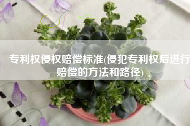 专利权侵权赔偿标准(侵犯专利权后进行赔偿的方法和路径)