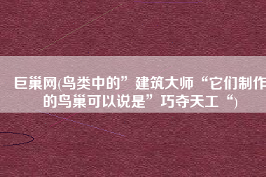 巨巢网(鸟类中的”建筑大师“它们制作的鸟巢可以说是”巧夺天工“)