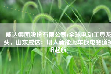 威达集团股份有限公司(全球电动工具龙头，山东威达：切入新能源车换电赛道扬帆起航)